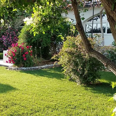 Sorić *